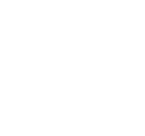 Digitalisierung Icon